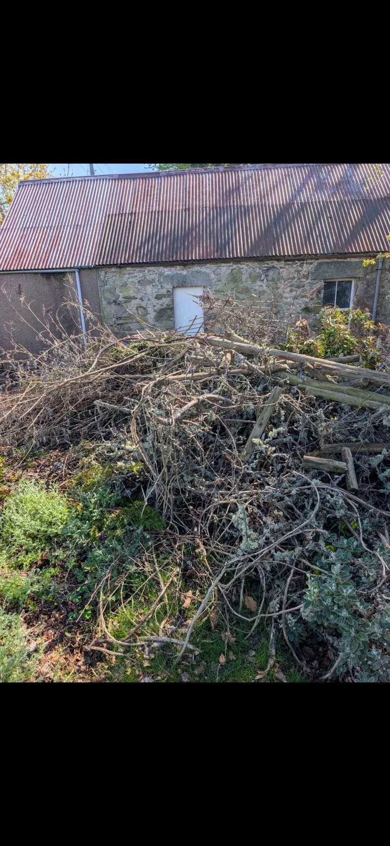 Garden clearance project