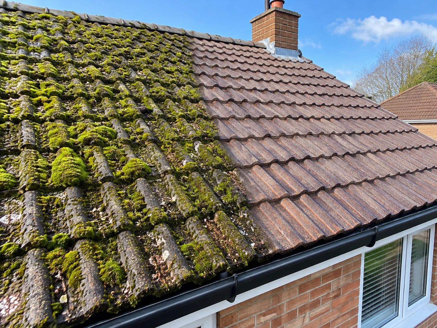 Roof De-Mossing