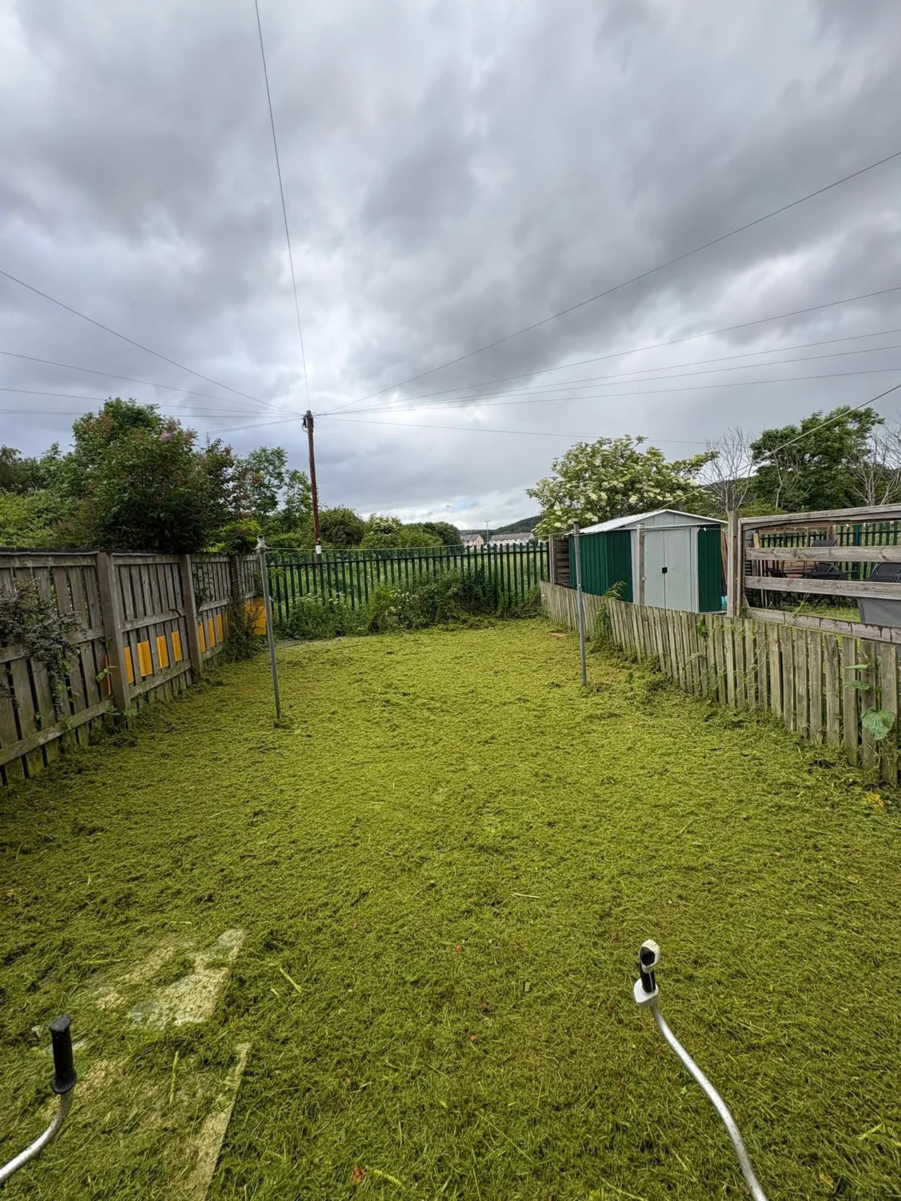 Garden after grass cutting and clearance